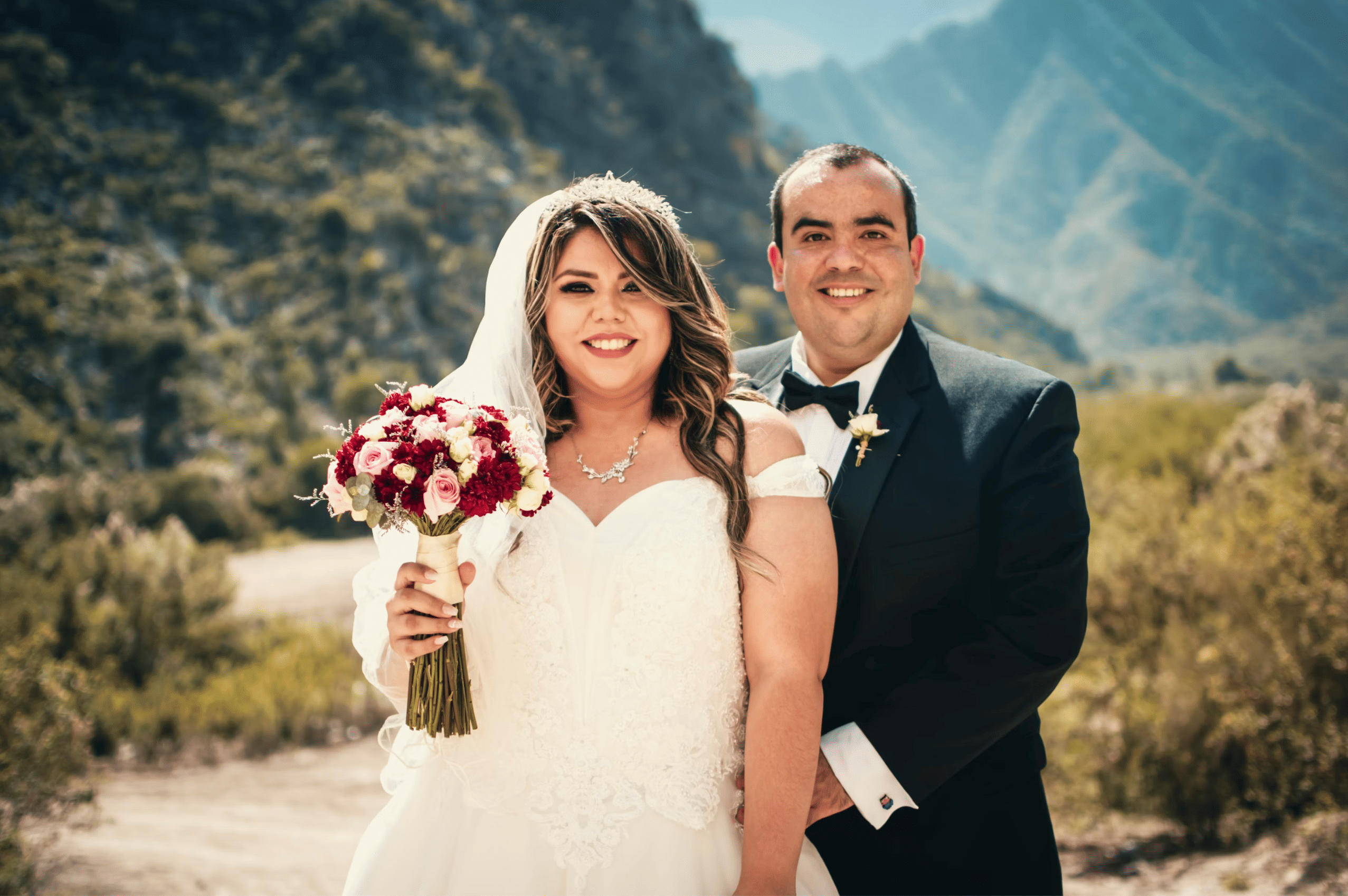 Descripción de la imagen