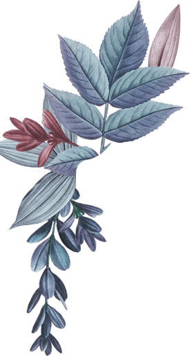 Decorative Image