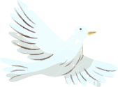 Decorative Image